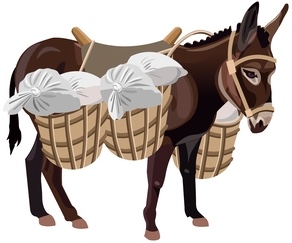 A Burro's Burden sheet music cover